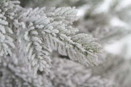 Елка "Аляска заснеженная"